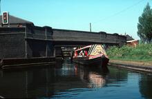 Cactus below Tipton Factory Top Lock
