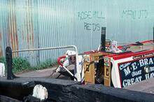 Cactus at Wolverhampton Lock 8