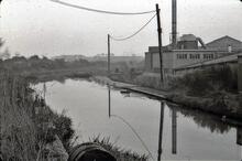 BCN Causeway Green Branch: Looking towards Titford Branch from Jarvis Bridge. October 1964