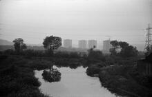 Junction of Causeway Green (left) and Portway (right) Branches, Titford Canal, 1965