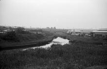 Terminus of Causeway Green Branch from Swan bridge, Titford Canal, 1965