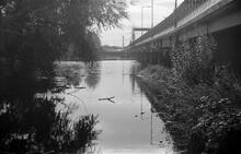 Titford Pools and M5