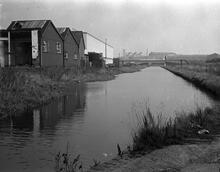 From Brookhouse Bridge looking East to Junction with Walsall Canal 10/12/66