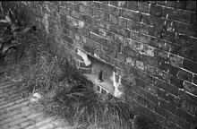 Detail on the Gower Branch, 1965
