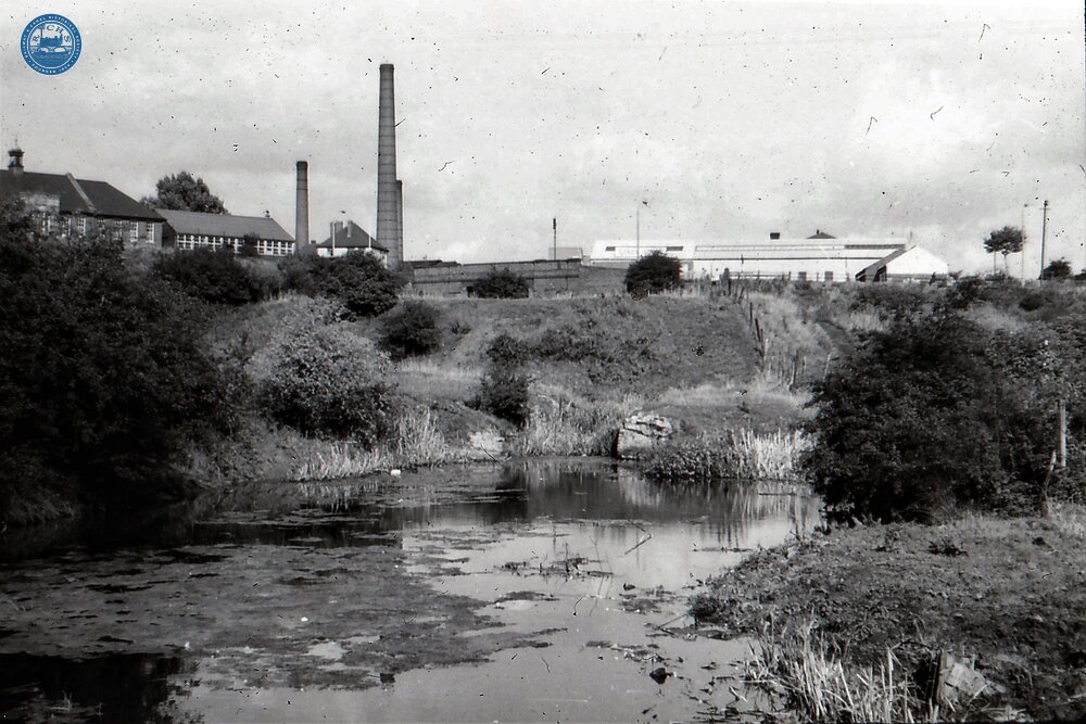BCN Dudley No 1 Canal: Section of disused waterway on old Delph Nine lock flight