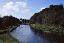 BCN Dudley No 1 Canal. Parkhead- Delph looking West to Delph. 18/09/1988