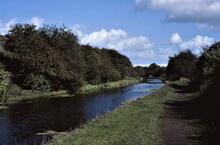 BCN Dudley No 1 Canal. Parkhead- Delph. Brierley Hill, East above Top Lock. 18/09/1983