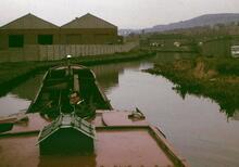 Narrowboat TRENT 5 between Hollis and Dog Lane Bridges, Rowley Regis, Dudley Canal No. 2, Birmingham Canal Navigations, June 1968