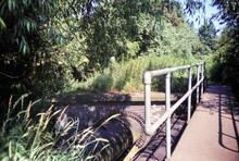 Dudley No 2 Canal near Selly Oak Junction. 1991