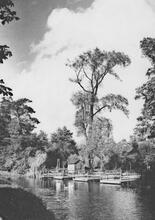 Halesowen, moorings for rowing boats, Leasowes Embankment