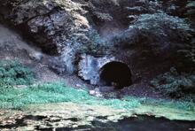 BCN Dudley No 1 Canal: Entrance to Wrens Nest Tunnel. 23 September 1970