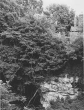 Dudley Tunnel North End, Quarry / Castle Mill Basin, entrance from North, 7 July 1962