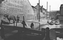 Horse Boat Mole in Farmers Bridge Lock 7.1958. Photographer: R Sellick