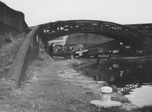 Aston Junction, Cactus in Top Lock No 1, Aston Flight, 28 May 1972