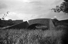 Towpath Bridge looking W, Junction of the Sneyd and Wyrley Bank Branch, 15/06/65