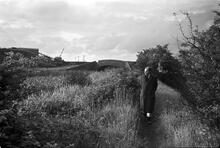 Towpath Bridge looking W, Junction of the Sneyd and Wyrley Bank Branch, 15/06/65