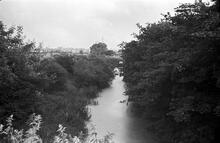 S from Long Lane Bridge, Wyrley Bank Branch, 15/06/65