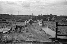 Foredrove Bridge from Railway, Norton Canes, Cannock Extension Canal, 20/06/65