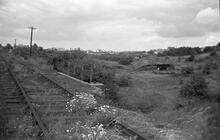 Hednesford Road Bridge from Railway, Norton Canes, Cannock Extension Canal, 20/06/65