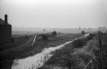 West from Bentley Lane Bridge, Bentley Canal, 1965