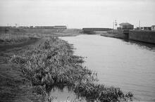 Junction with the Gospel Oak Branch (left),Walsall Canal,  13/01/66