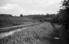 North to Reedswood Bridge, Anson Branch Summer 65