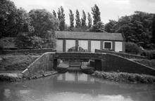 Water Extraction, Reedswood Basin, Anson Branch Summer 65