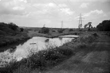 Reedswood Basin, Anson Branch Summer 65