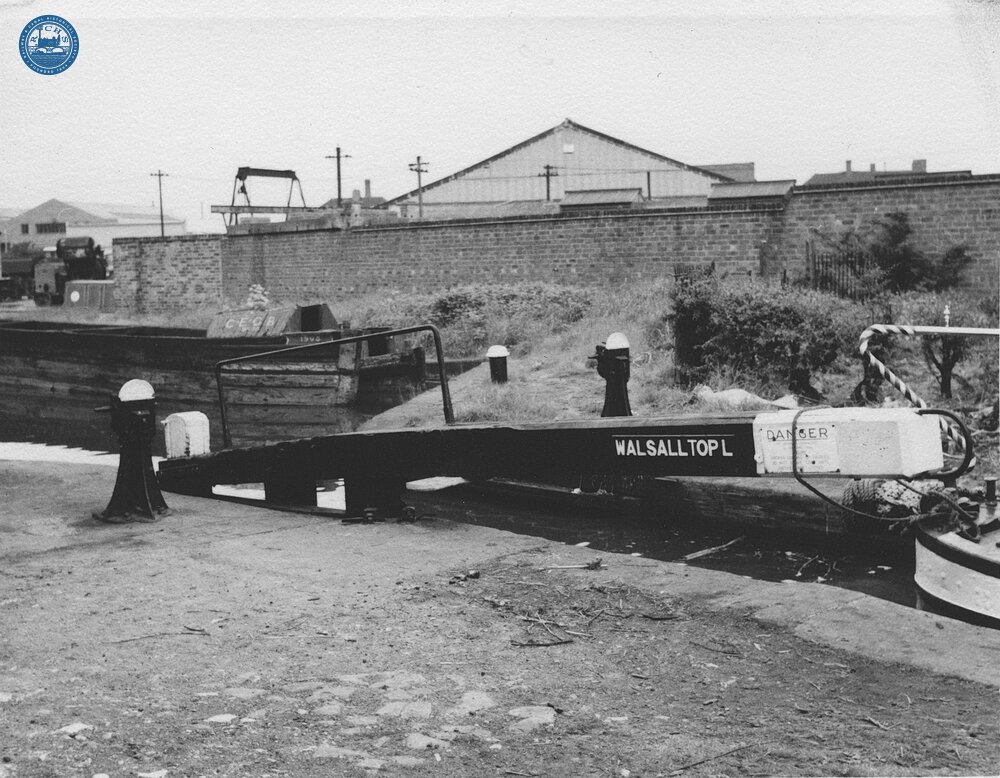Cactus in Walsall Top Lock (No 1), 6 June 1965