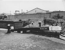 Cactus in Walsall Top Lock (No 1), 6 June 1965
