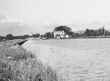Parkend Bridge and Bridge Keepers House. June 1957