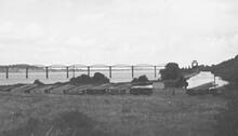 Timber Yard at Sharpness. August 1960