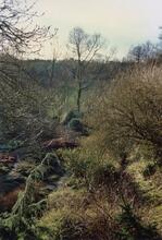 Midford 1989