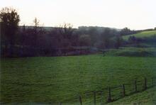 Midford 1989