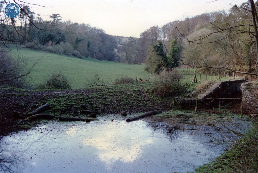 Combe Hay Locks 1989