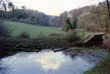 Combe Hay Locks 1989