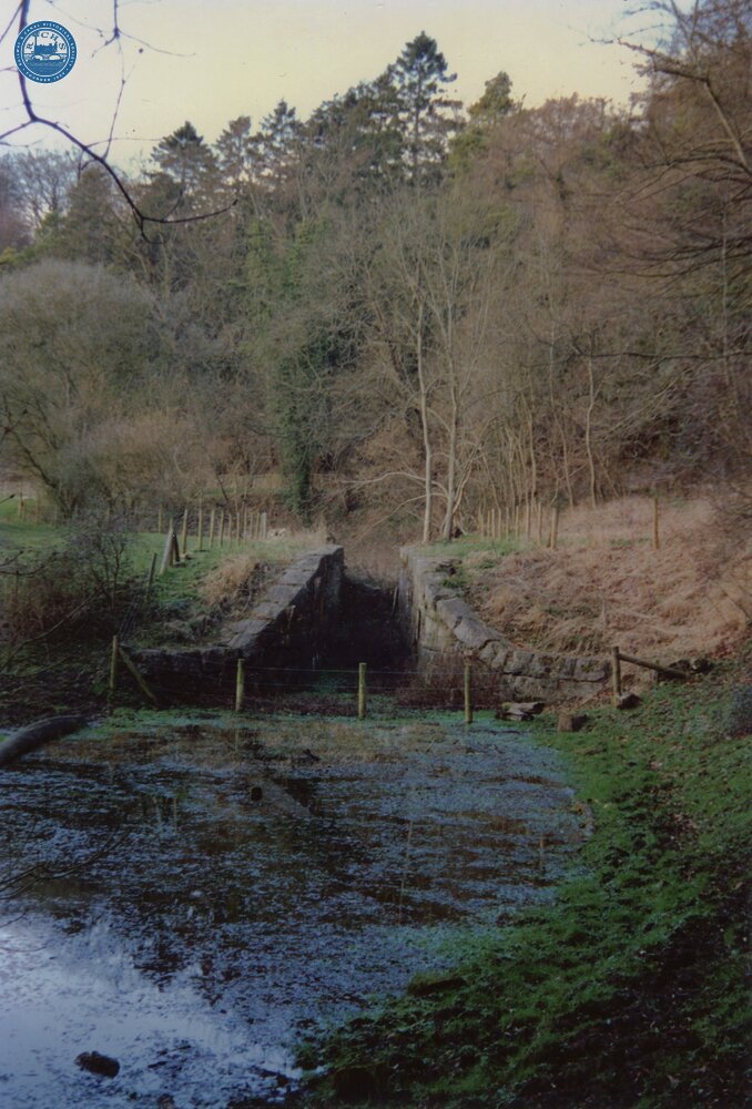 Combe Hay Locks 1989
