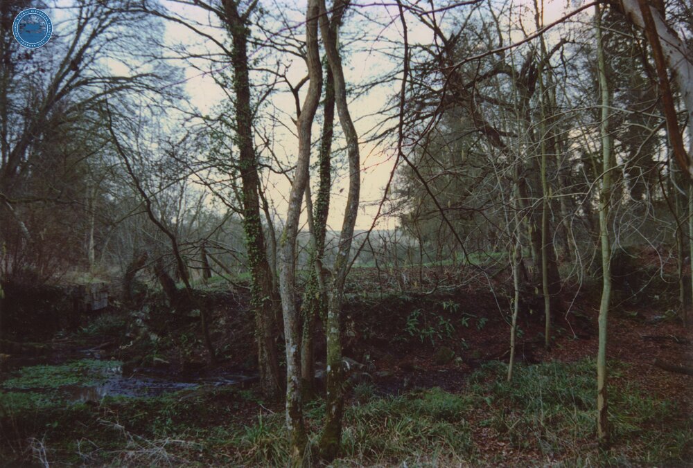 Combe Hay Locks 1989