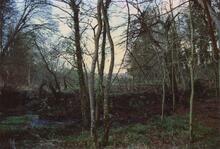 Combe Hay Locks 1989