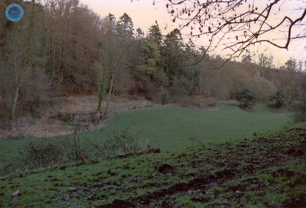 Combe Hay Locks 1989