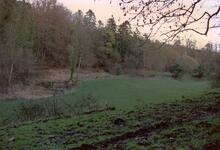 Combe Hay Locks 1989