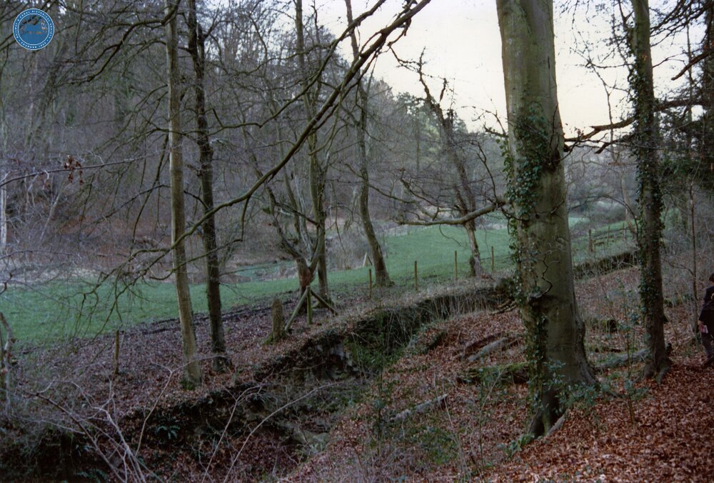 Combe Hay Locks 1989
