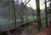 Combe Hay Locks 1989