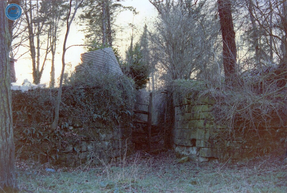 Combe Hay Locks 1989
