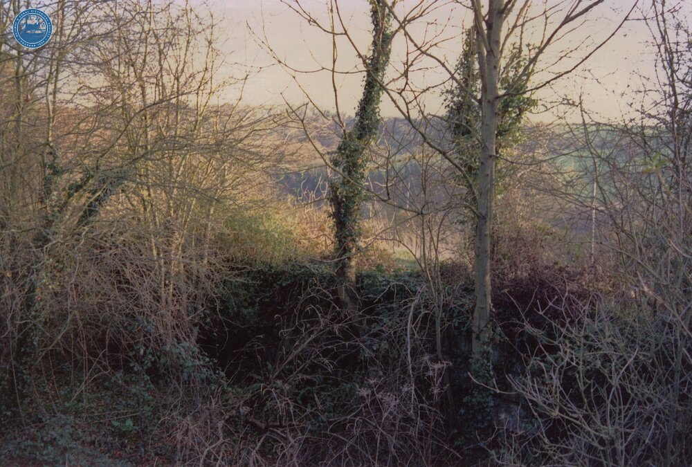 Combe Hay Locks 1989