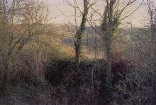 Combe Hay Locks 1989