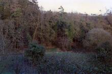 Combe Hay Locks 1989