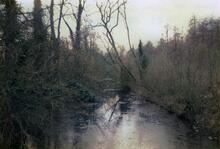 Cutting near Ewen. 1987