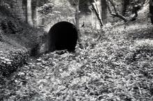 Sapperton Tunnel, Coates Portal