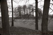Sapperton Tunnel: spoil mounds